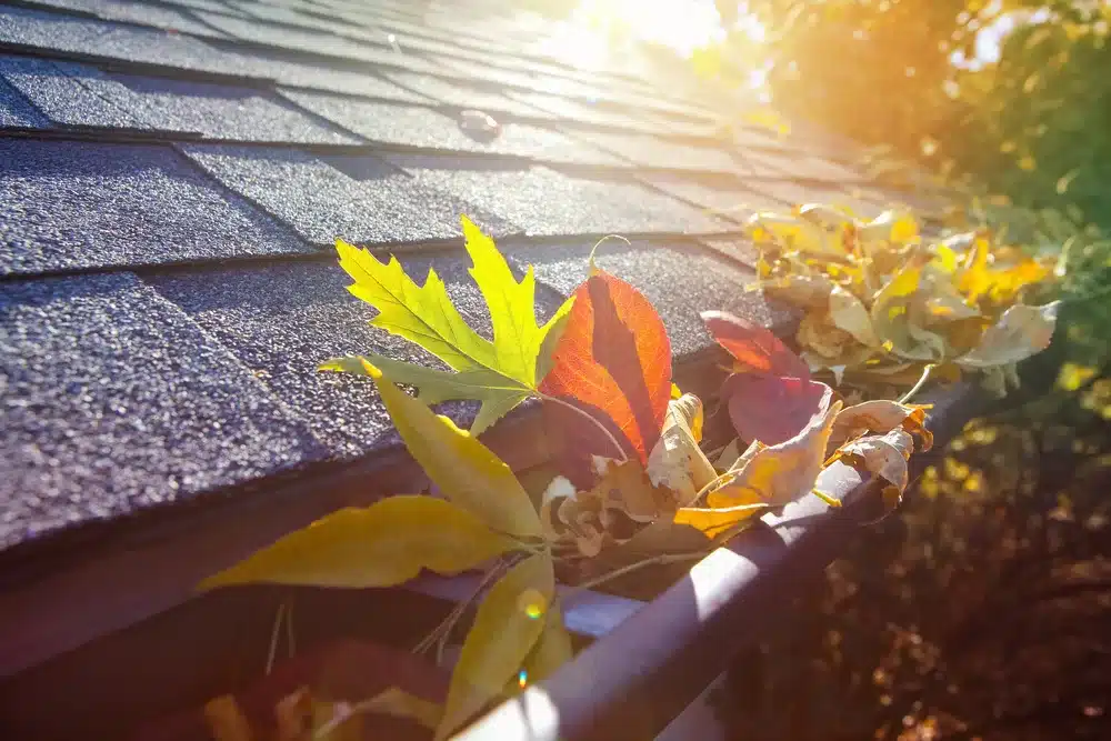 Roof Maintenance Tips for Fall 2 Roof Maintenance Contractor in Westminster, MD