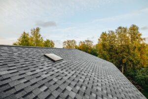 Ellicott City, MD Roofing and Siding Services