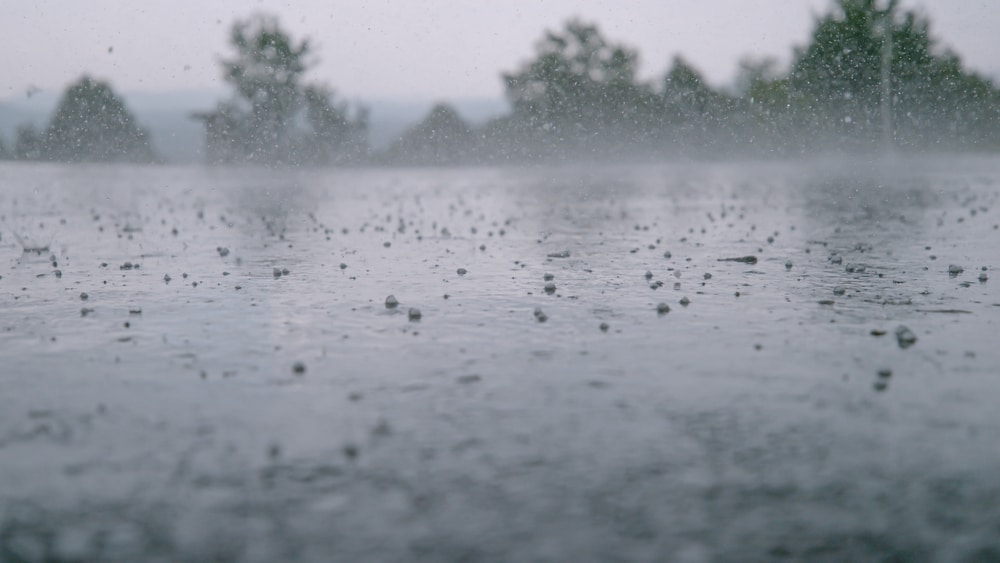Carroll County Hailstorm: What Homeowners Need to Know 1 LOW ANGLE, CLOSE UP, DOF: Small pellets of ice fall on the wet concrete ground during hailstorm on a gloomy summer day. Cinematic shot of hail falling on the asphalt during a heavy tropical rainstorm.