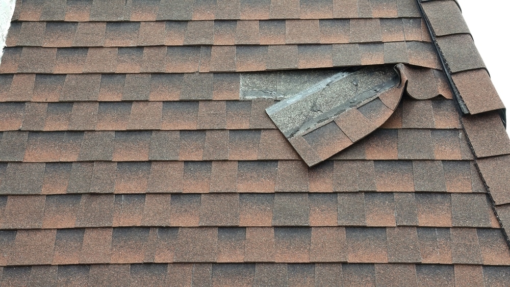 How to Tell If Your Roof Needs Repairs Before Fall Weather Hits 1 Torn Shingle on Mansard - Closeup Shot