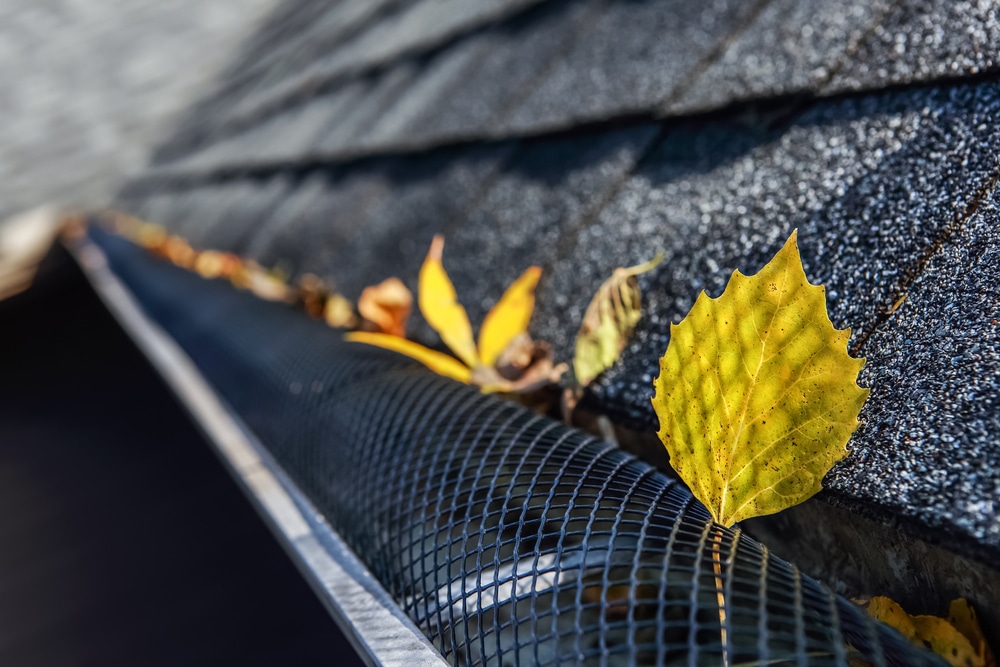 Is Your Roof Ready for Fall? 5 Seasonal Maintenance Tips from the Pros 1 Plastic guard over gutter on a roof with leaves stuck on the outside of the mesh